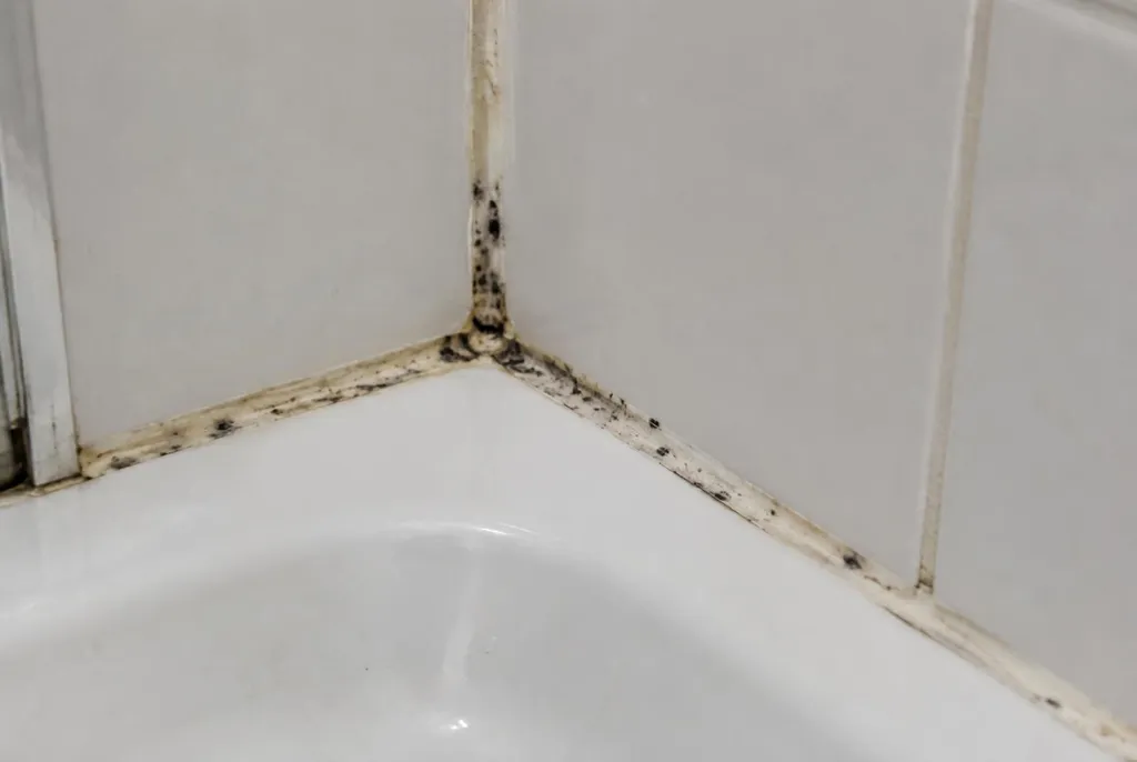 Kitbedrijf Nieuwveen – beschimmelde kitranden
